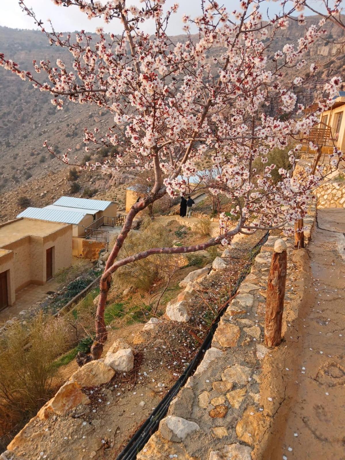 Dana Village Camp-Wadi Dana Eco Camp Luaran gambar